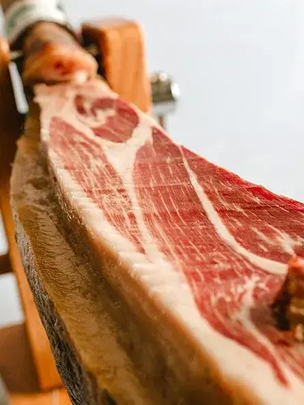 iberico schinken pata negra cebo de campo