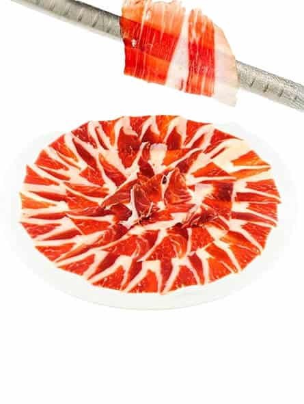 paleta-cebo-campo