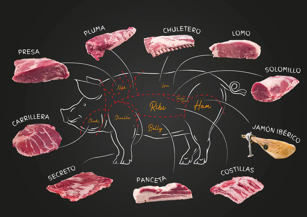 Iberico Schwein